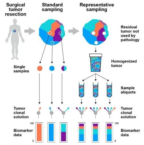 genetic testing for melanoma cancer